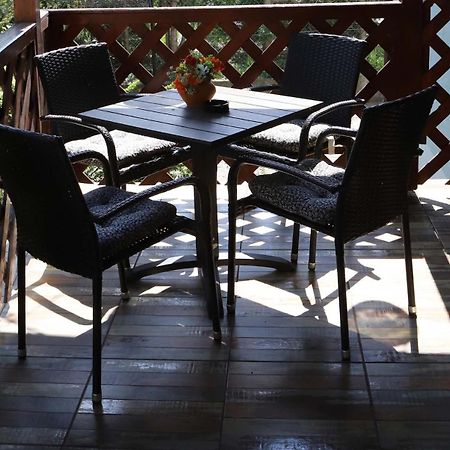 Przytulny Apartament-Cosy And Beautiful Żywiec エクステリア 写真