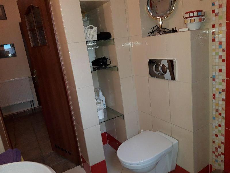 Przytulny Apartament-Cosy And Beautiful Żywiec エクステリア 写真